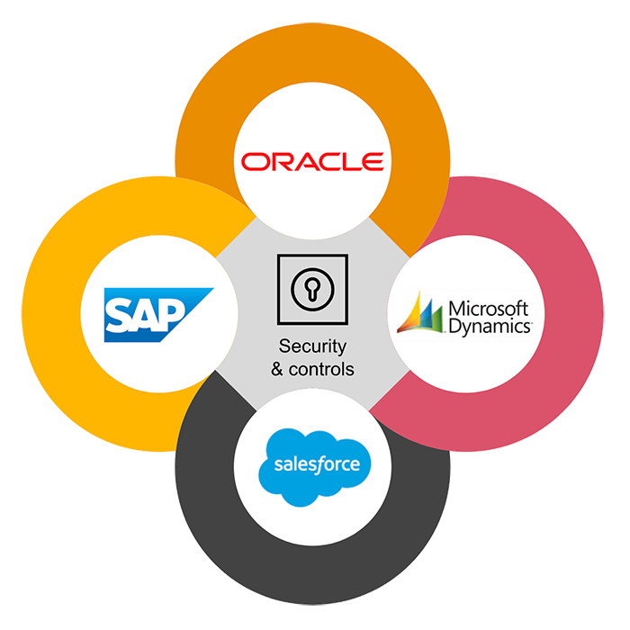 ERP security and controls