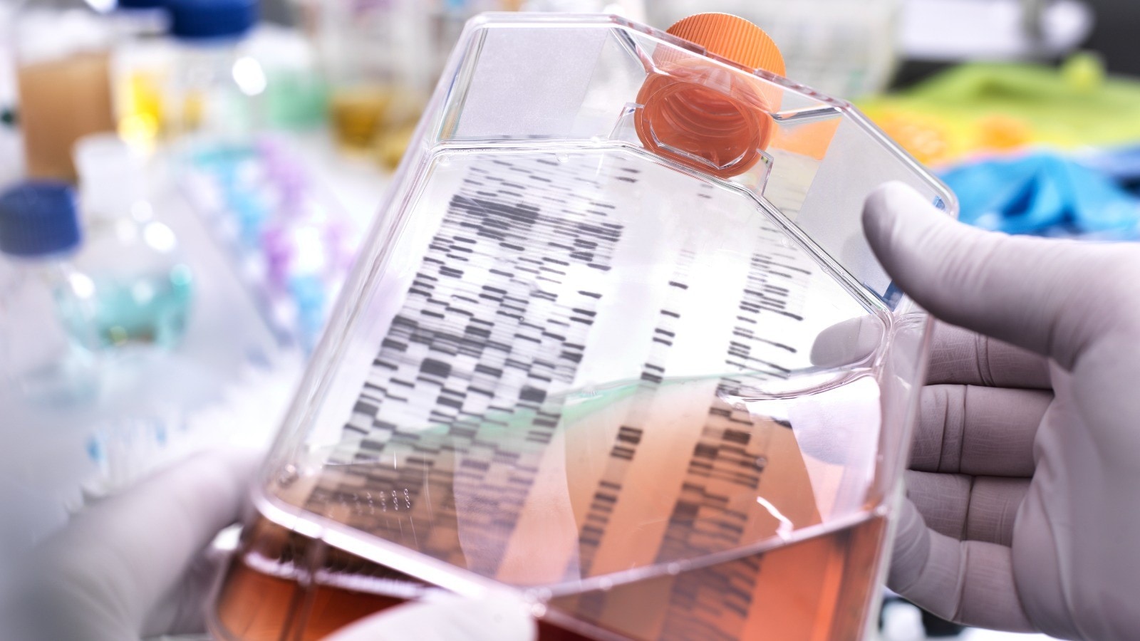 pharma manufacturing