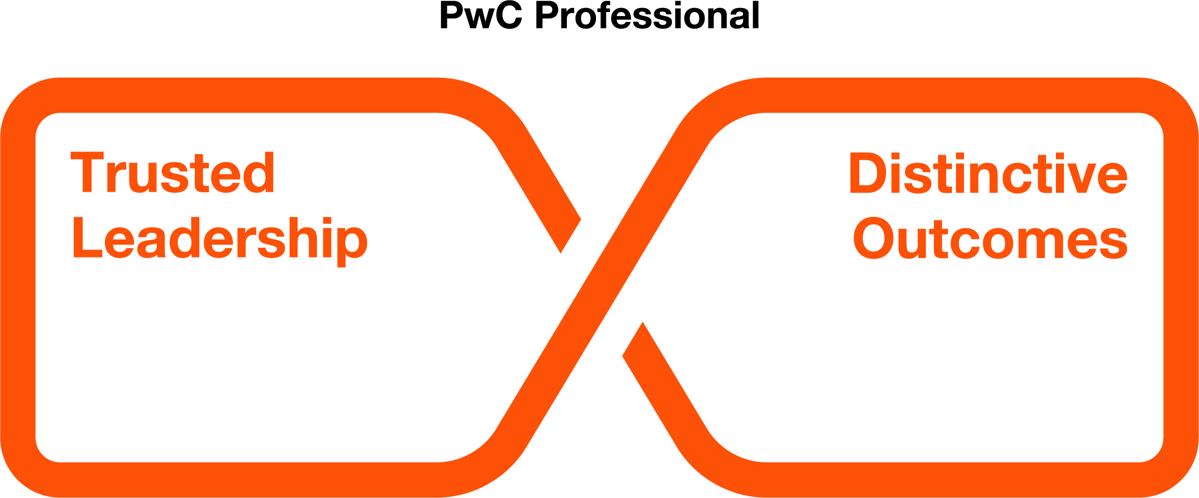 What we value at PwC