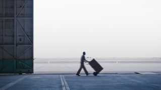 Key findings from the Transportation & Logistics industry
